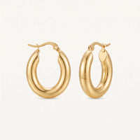 Thumbnail for The Shiny, gold earrings — packshot | SKU: lesbrillantes
