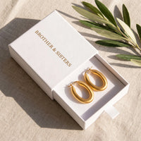 Thumbnail for The Mates, gold earrings — gift box | SKU: lesmates